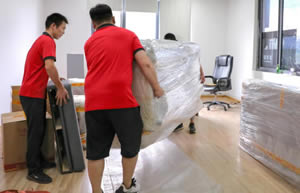 ��³����˾���